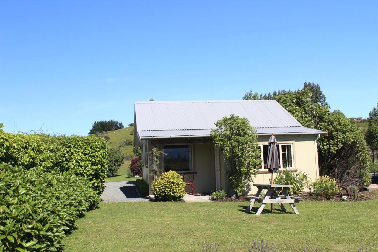 Blue Thistle Cottages テアナウ エクステリア 写真